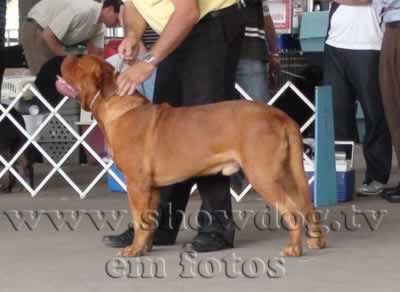 Clique sobre a foto para fechar